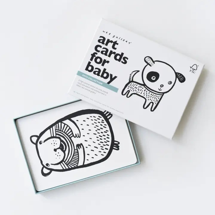 Art Cards For Baby - Pets
