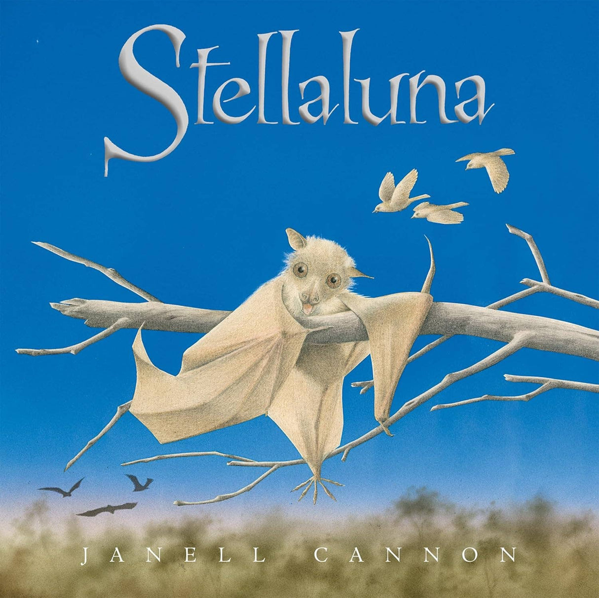Stellaluna Board Book : Janell Cannon