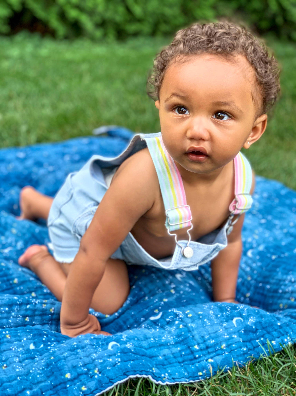 4-Layer All Season Reversible Blanket: Organic Cotton