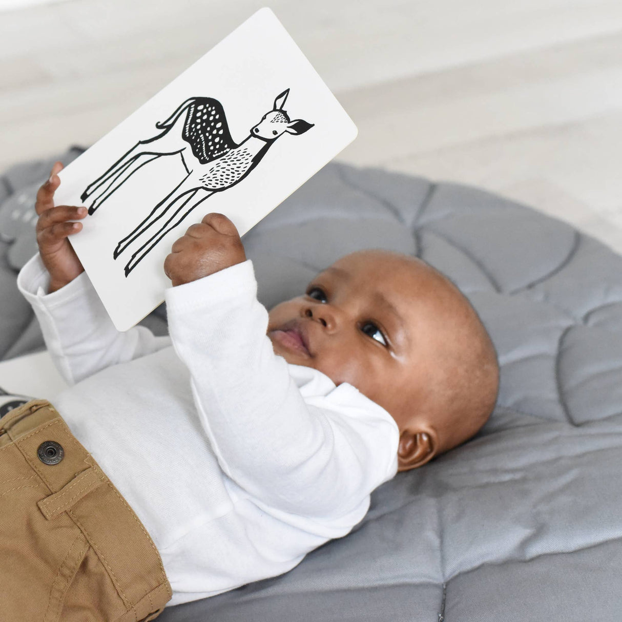 Art Cards for Baby - Baby Animals - Infant Flash Cards
