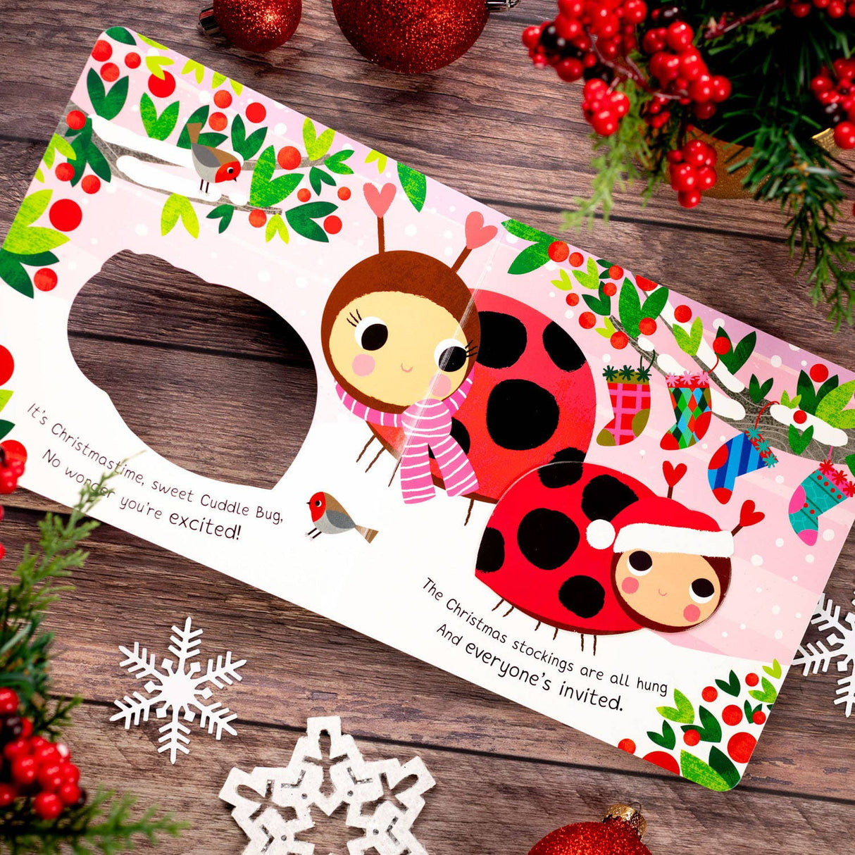Merry Christmas, My Little Cuddle Bug by Nicola Edwards