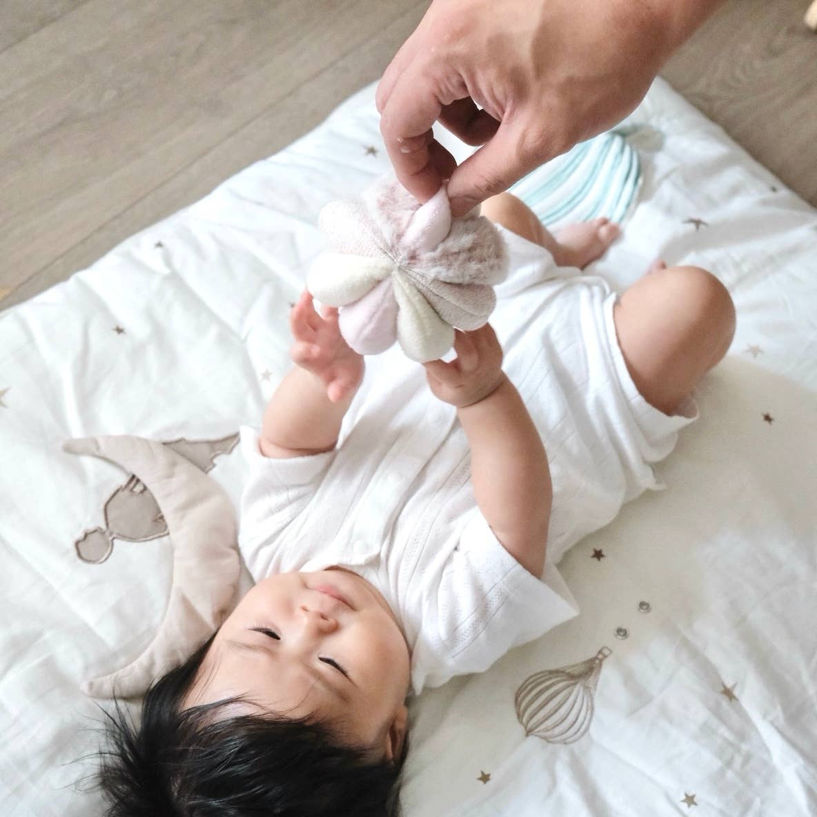 TOTO/BABY TOY/ MONTESSORI TOY