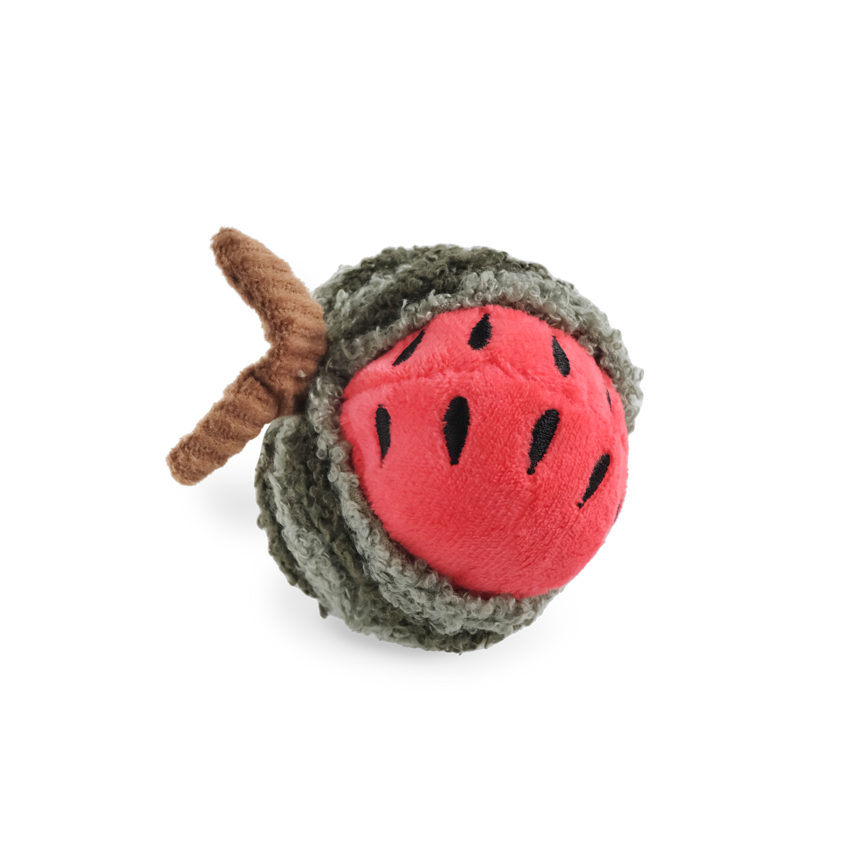 Watermelon rattle
