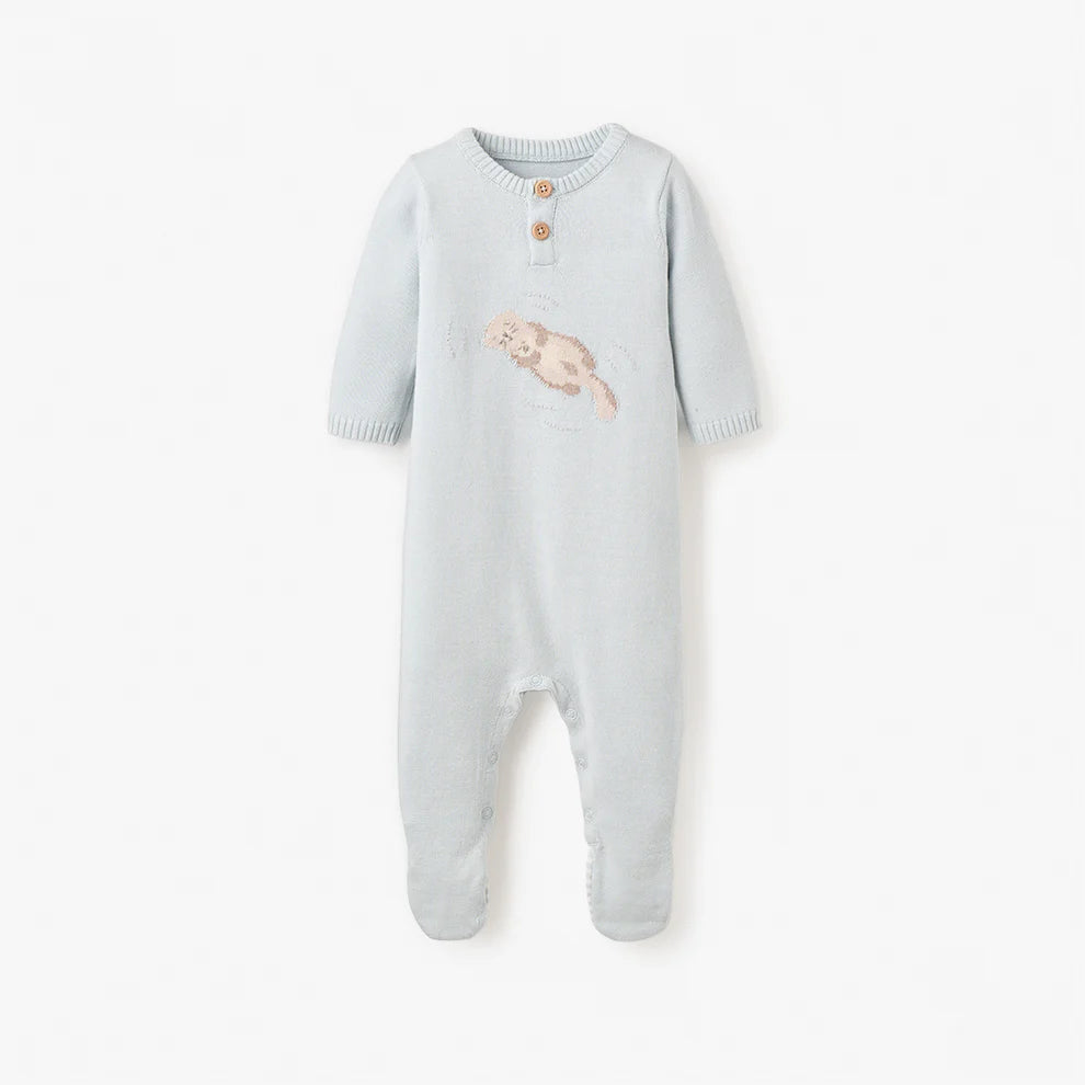 Elegant Baby Otter Lake Jumpsuit - Blue