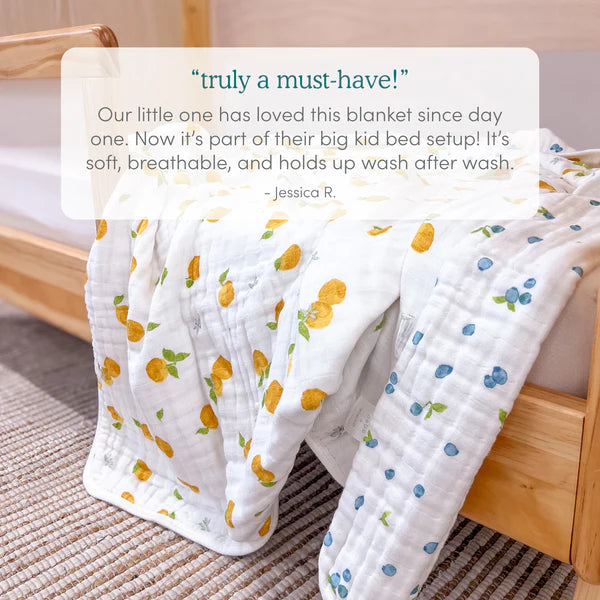 Aden & Anais Muslin Dream Blanket