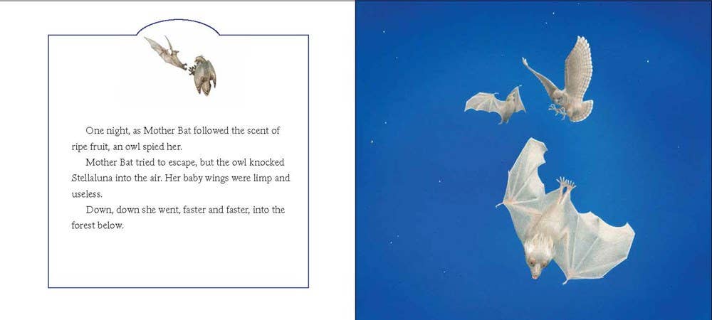 Stellaluna Board Book : Janell Cannon