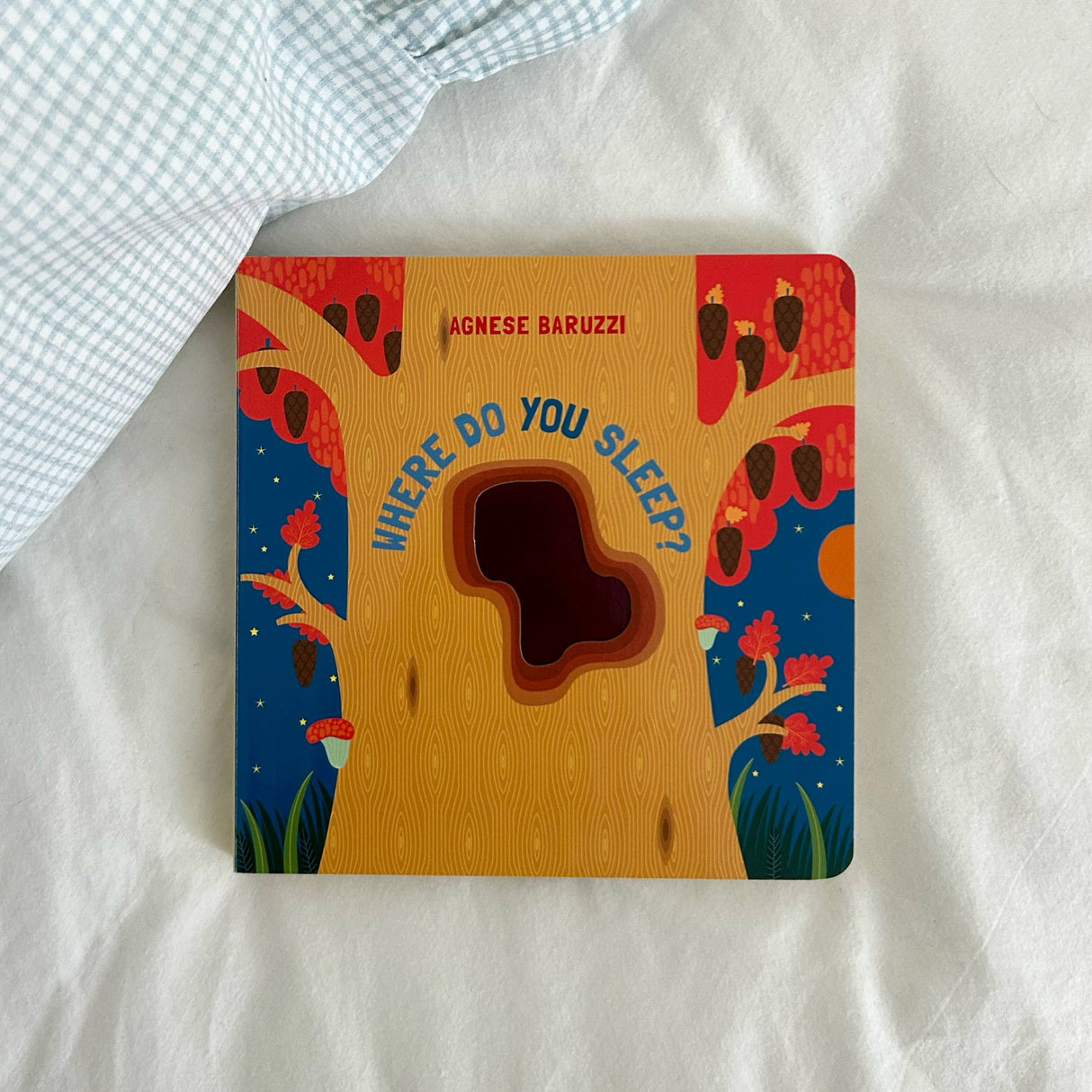 Where Do You Sleep
