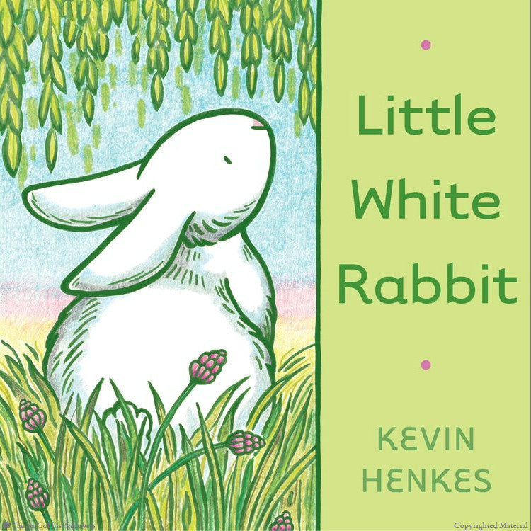 Little White Rabbit - Tadpole