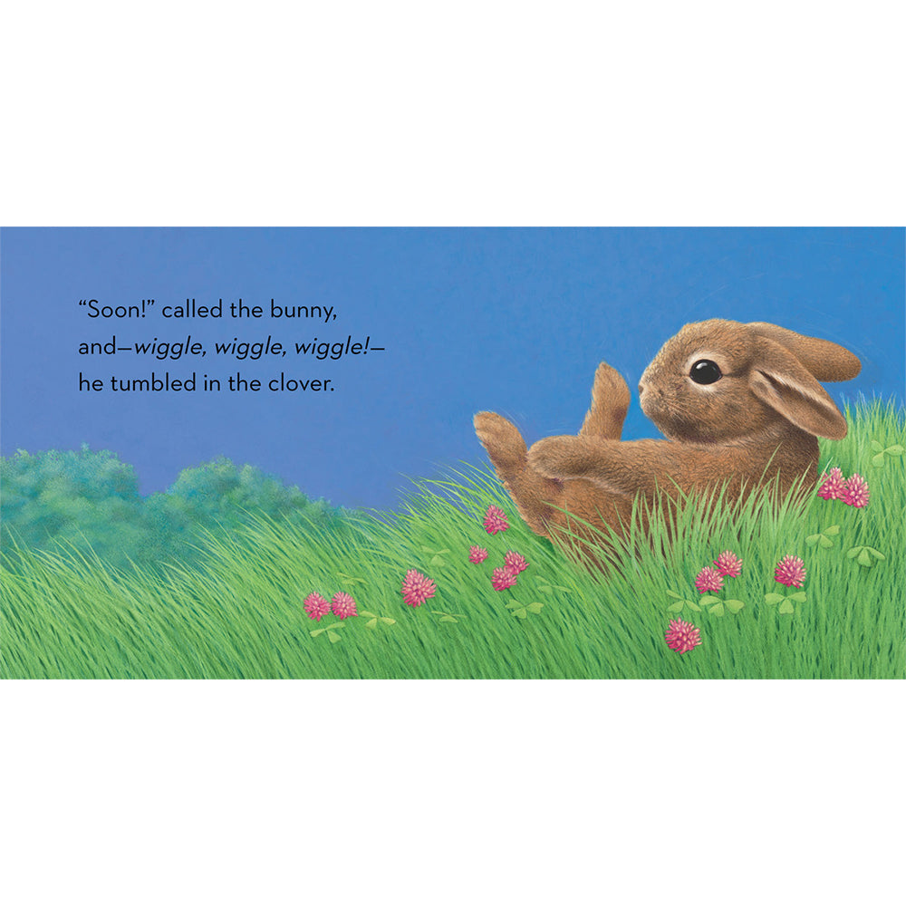Little Bunny - Tadpole