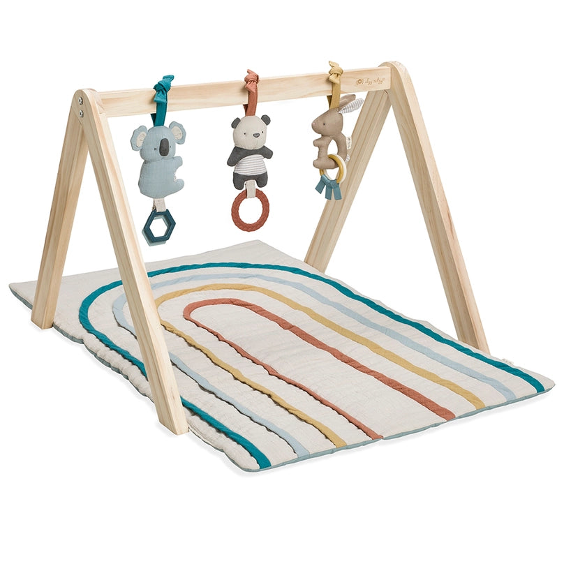 Itzy Ritzy Baby Activity Gym