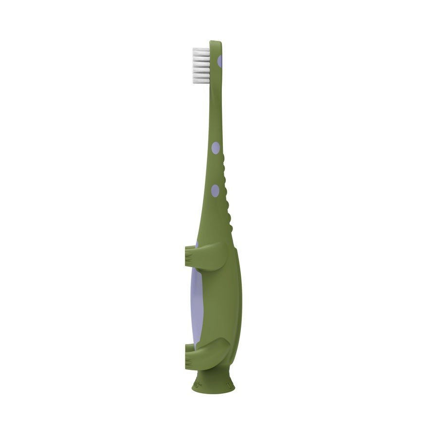 Dr. Brown's Toddler Toothbrush with Suction Bottom - Tadpole