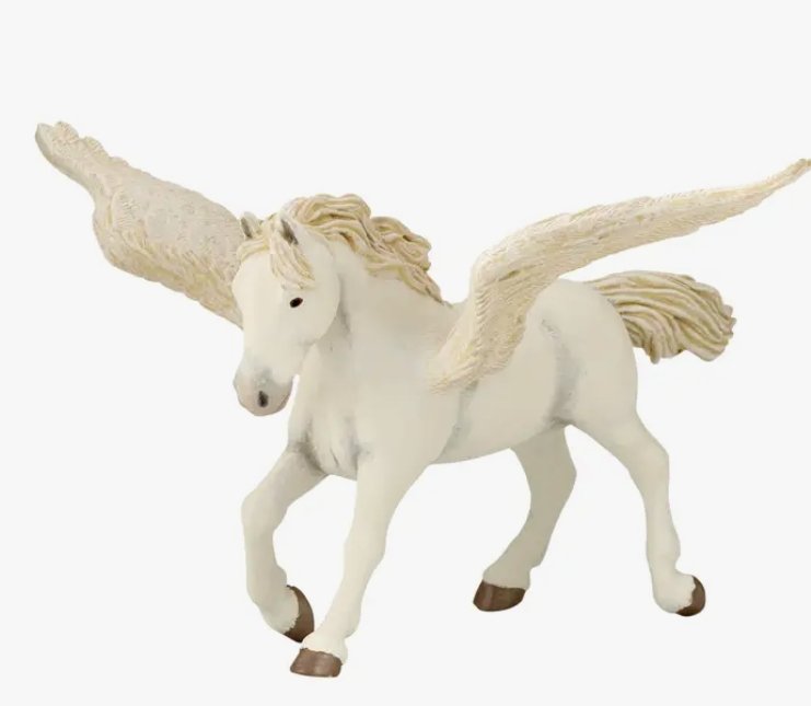 Fairy Pegasus - Tadpole