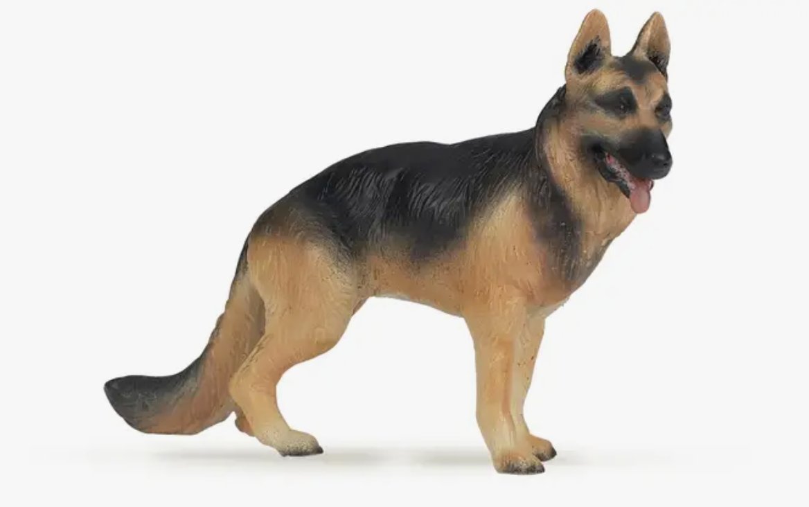 German Shepherd - Tadpole