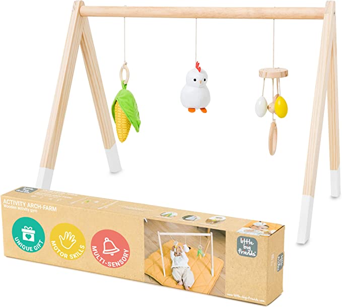 Little Big Friends Wooden Activity Gym - Tadpole