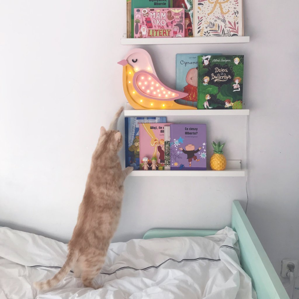 Little Lights Bird Lamp - Tadpole