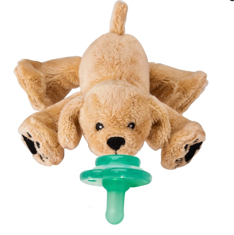 Paci-Plushies Buddies - Rufus Retriever - Tadpole