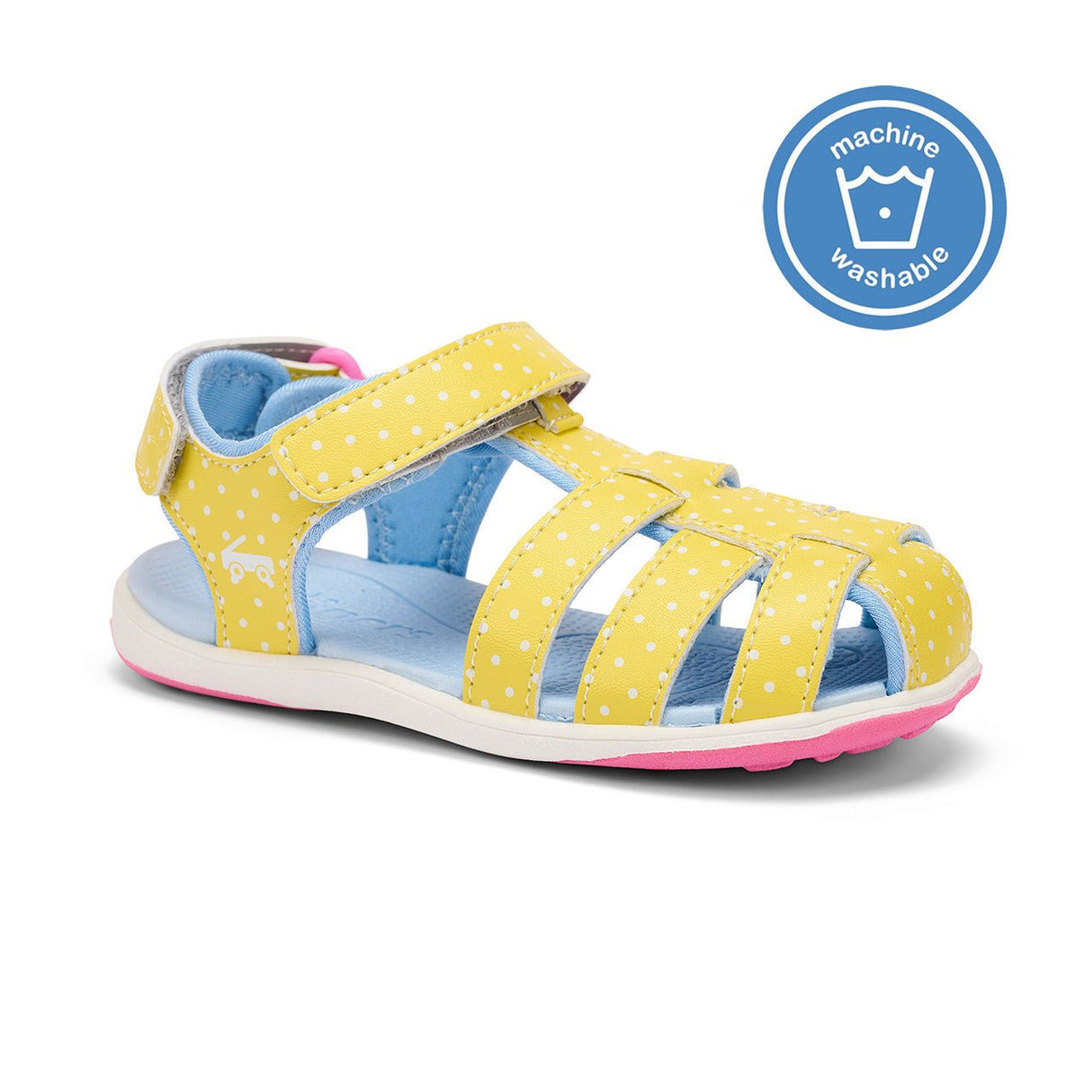 Paley II - Yellow/Blue - Tadpole