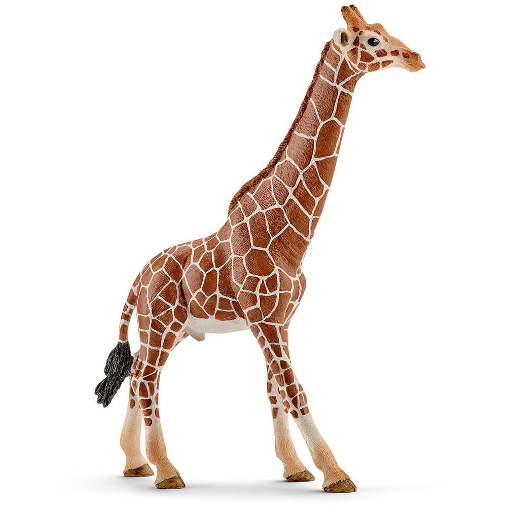 Schleich Giraffe, male - Tadpole
