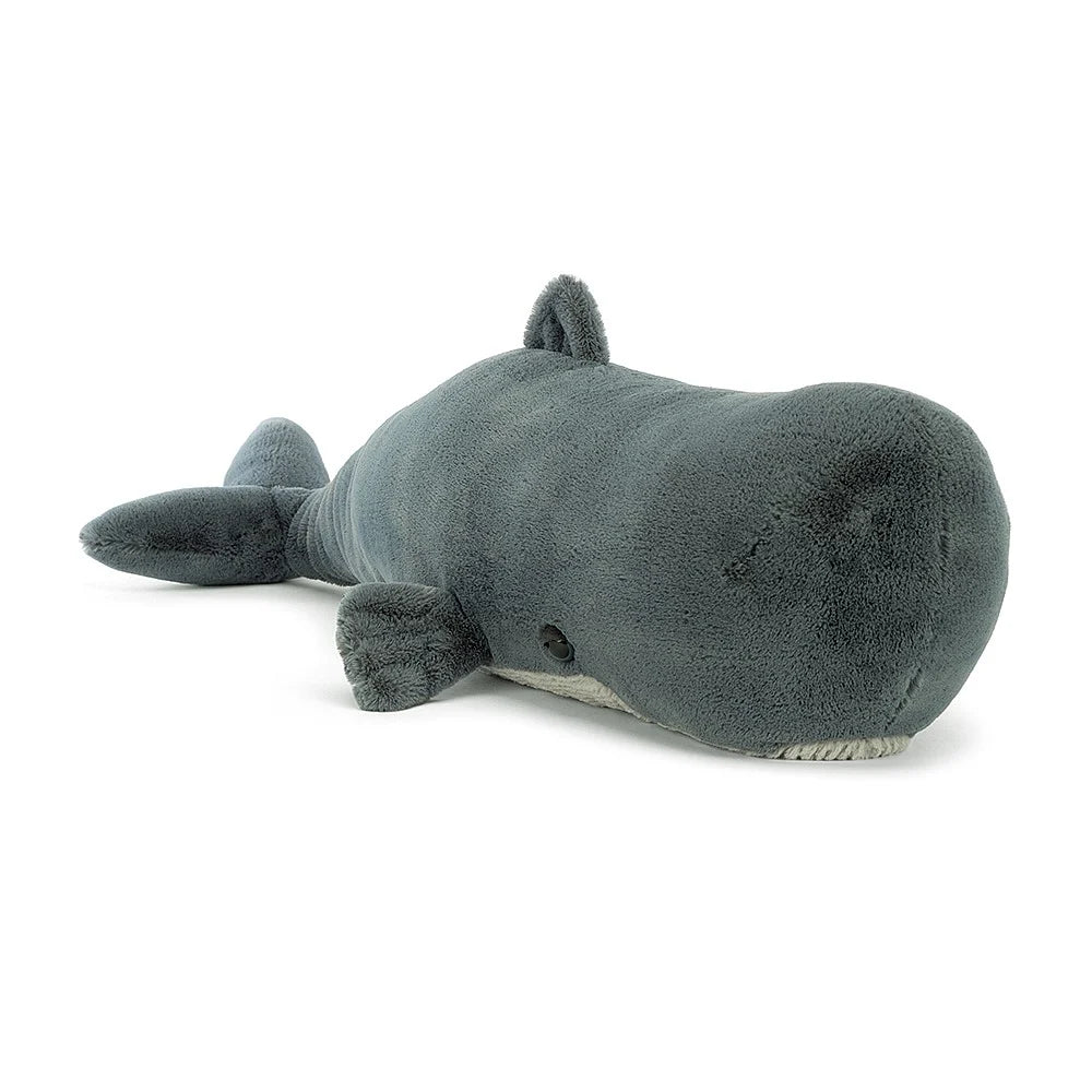 Sullivan the Sperm Whale - Tadpole