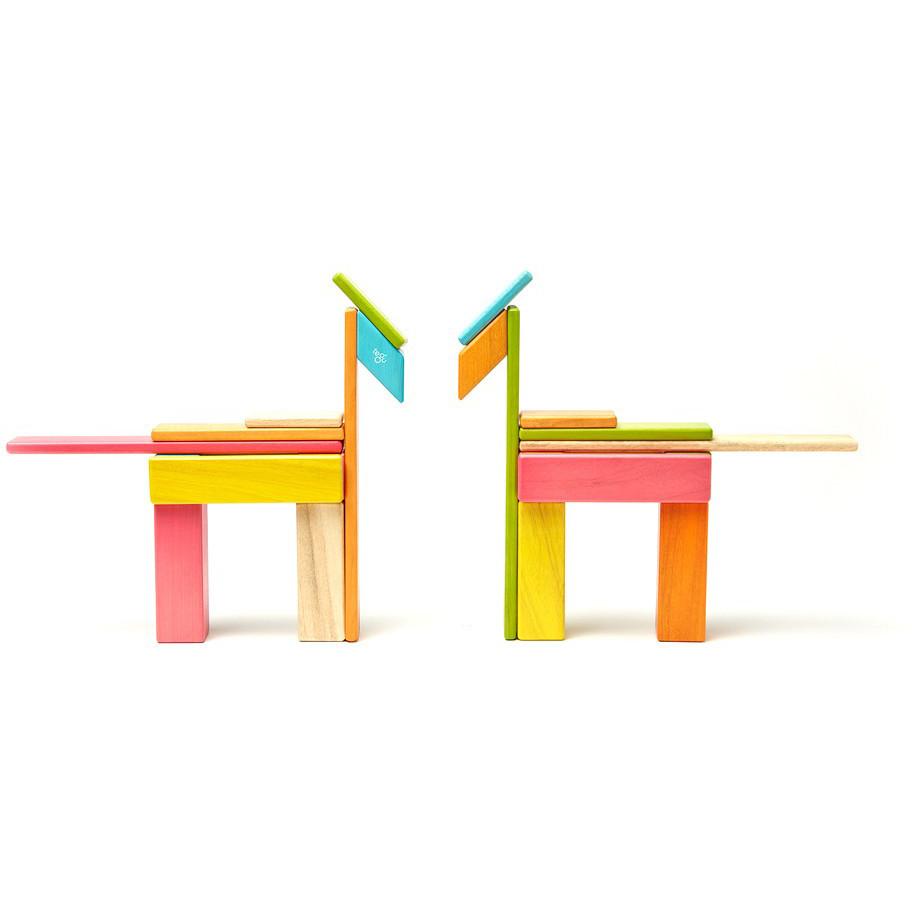 Tegu 24-Piece Magnetic Block Set - Tints - Tadpole