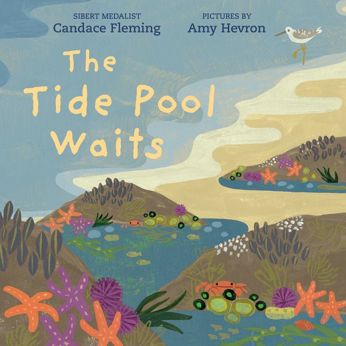 The Tide Pool Waits - Tadpole