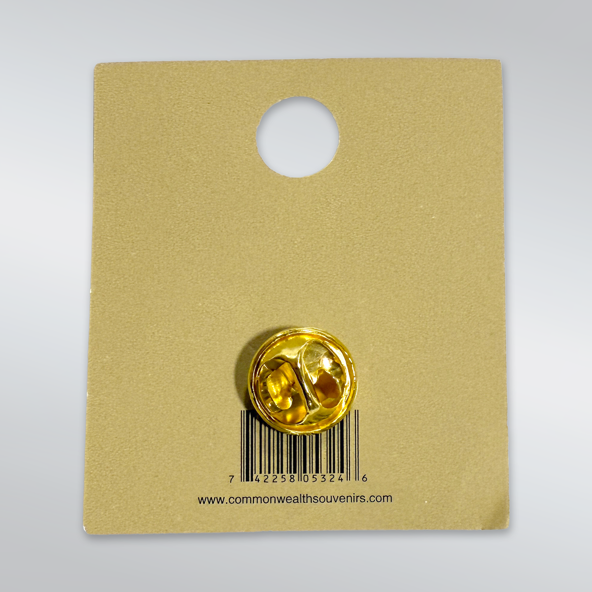 Boston Ducklings Souvenir Pin