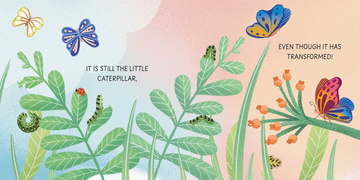 Grow-a-Puzzle. Becoming a Butterfly by