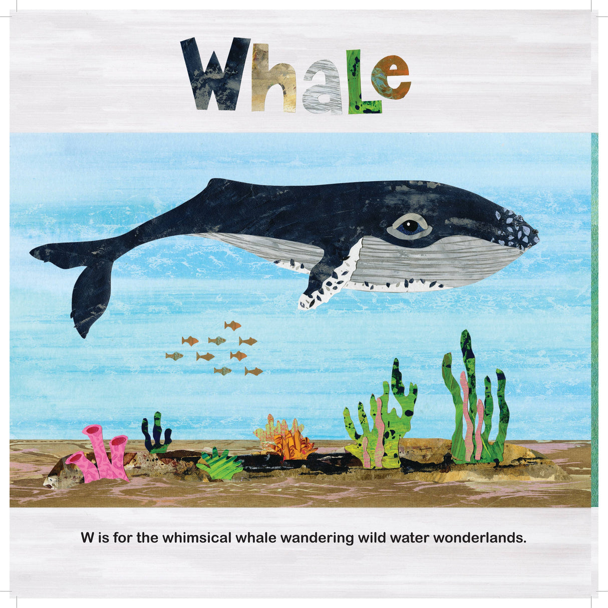 New England Animals A to Z
