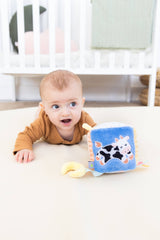 0-6 Months Learning Kit 8 piece Developmental Toys
