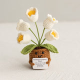Handmade Knitted Potted Plants Cotton Desk Decor