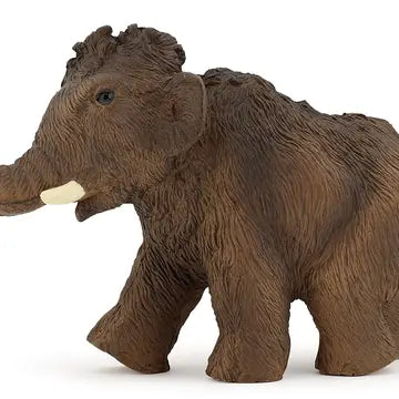 Young Mammoth