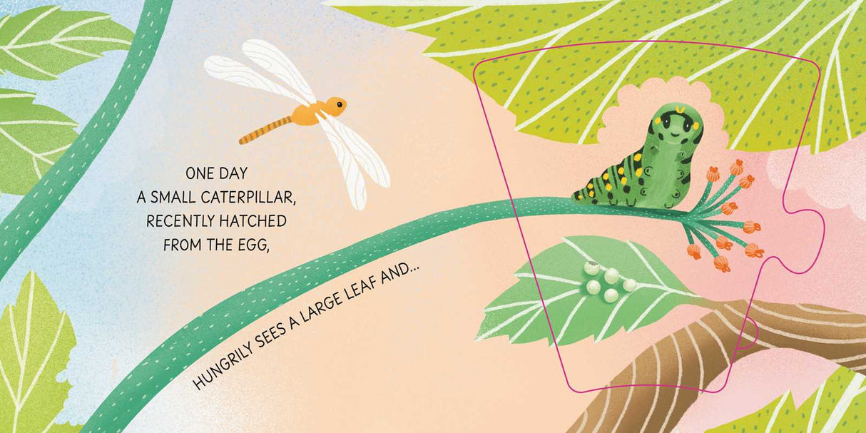 Grow-a-Puzzle. Becoming a Butterfly by