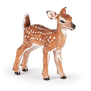 Fawn