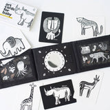 Baby Tummy Time Gallery Gift Set