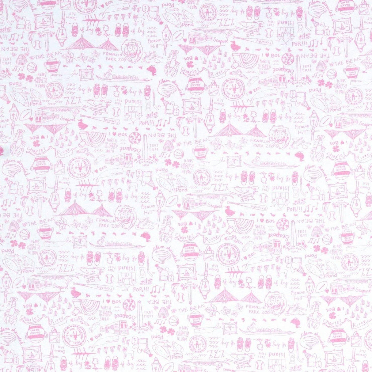Boston Baby Blanket