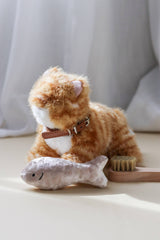 Munchkin & House (cat)