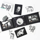 Baby Tummy Time Gallery Gift Set