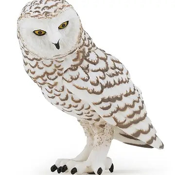 Snowy Owl