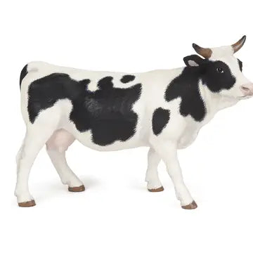 Black and White Cow