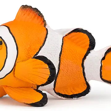 Clownfish