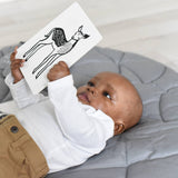 Art Cards for Baby - Baby Animals - Infant Flash Cards