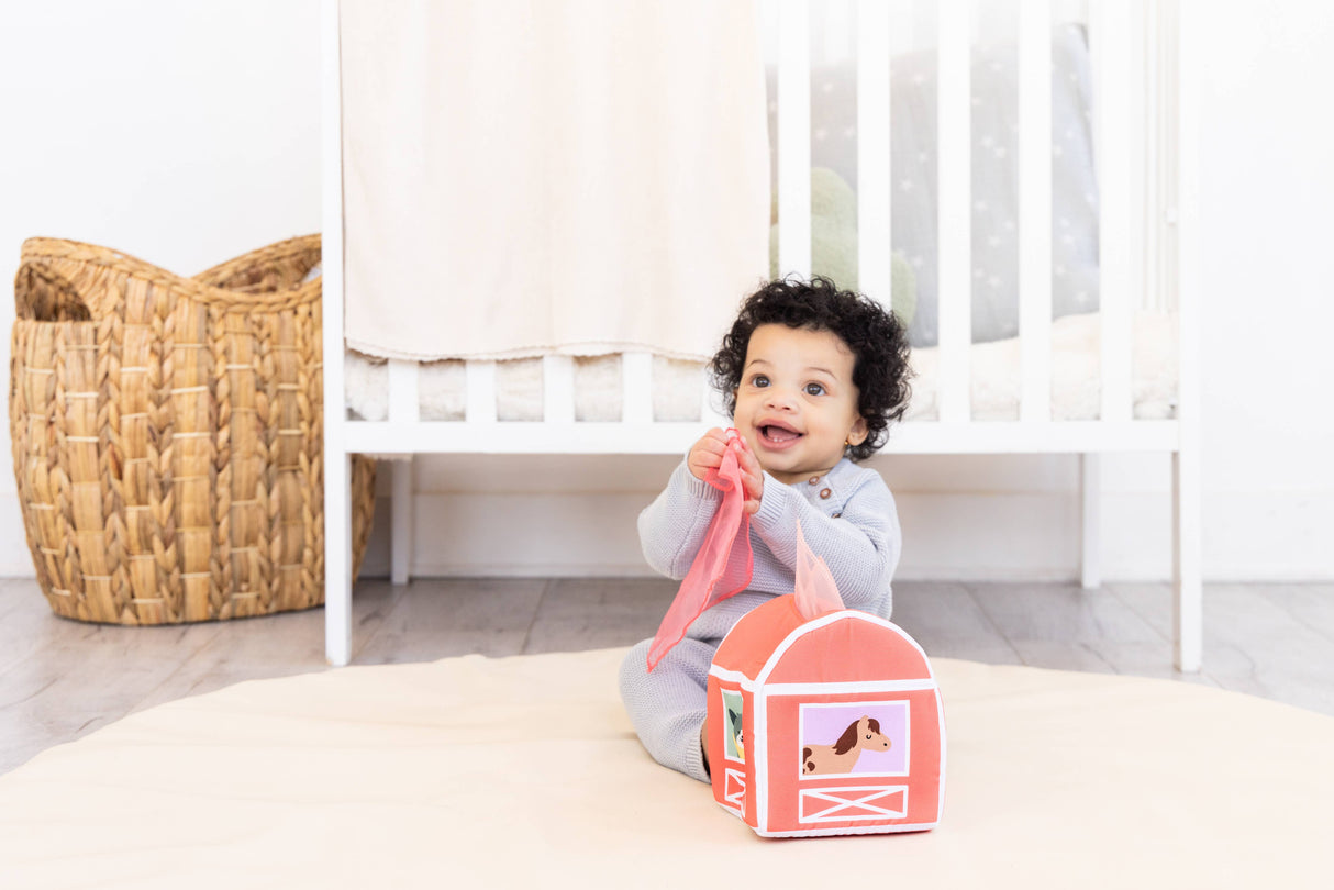 6-12 Months Learning Kit, Montessori Developmental Toys