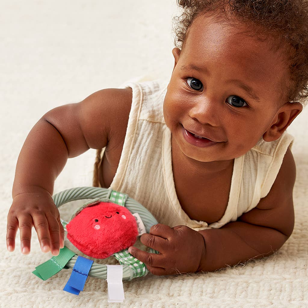 *NEW* Itzy Ring Pal™ - Teething Ring with Plush Character
