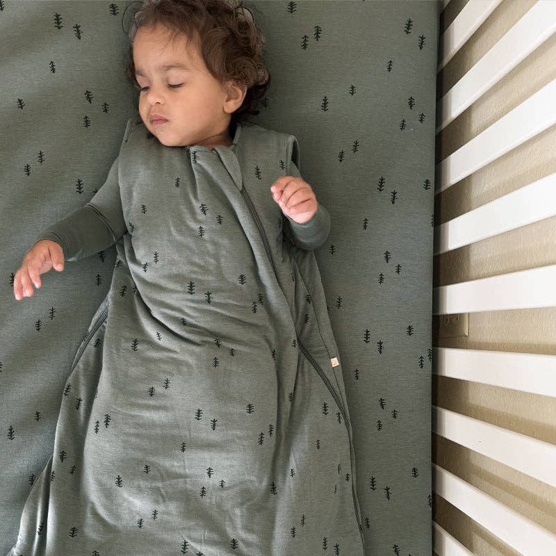 FW25 CRIB SHEET
