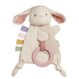 Sensory Toy with Teether