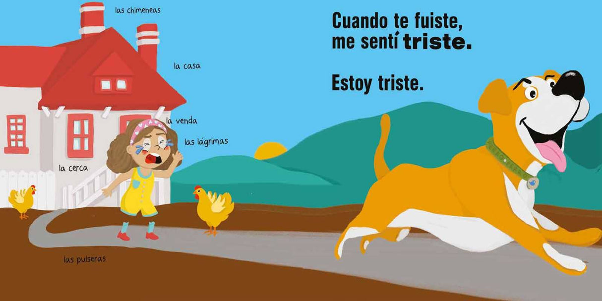 ¿Cómo te sientes? by Amy Rush Conroy