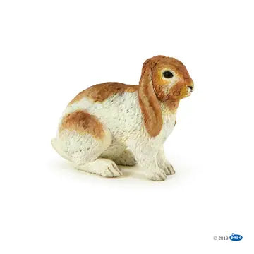 Lop Rabbit