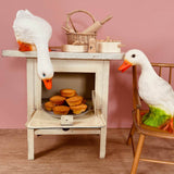 Duck w/ Plug