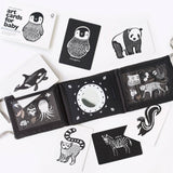 Baby Tummy Time Gallery Gift Set