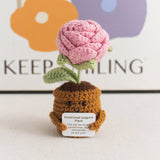 Handmade Knitted Potted Plants Cotton Desk Decor